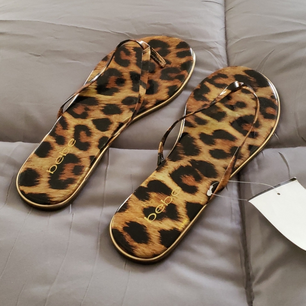 Bebe Slides